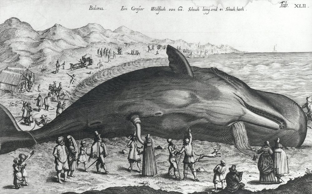 インド、スーラジクンドメラで購入の版画 死んだクジラ | ドイツ語学校